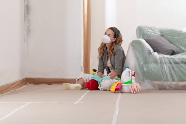 Reliable Mold Remediation contractor in Stanwood, MI by 24 Hour Mold Removal